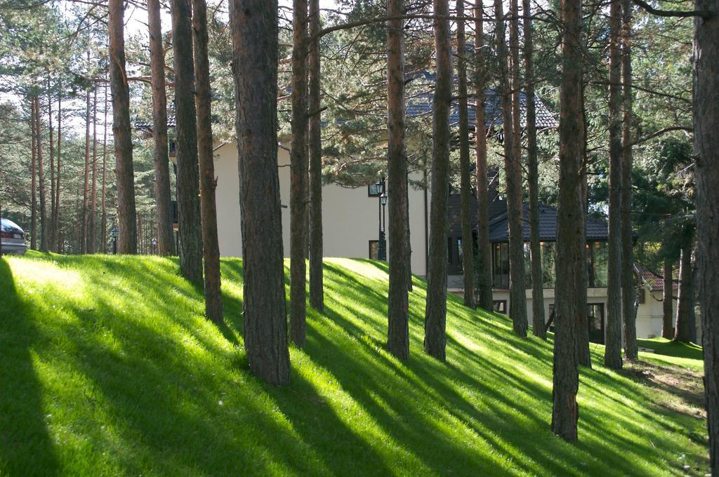 Vila Pina Zlatibor Exterior foto